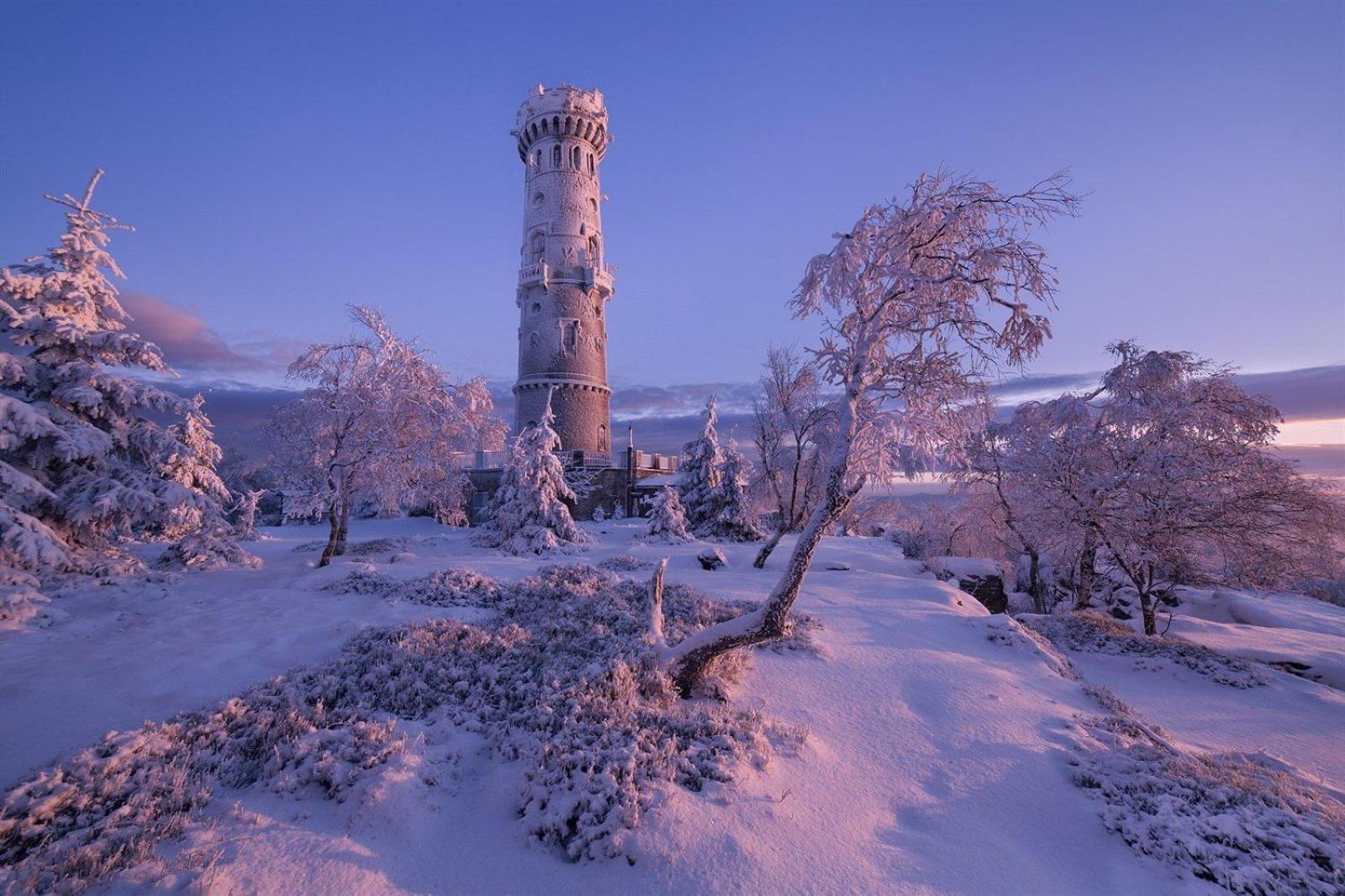 Northern Panorama Jílové Dış mekan fotoğraf